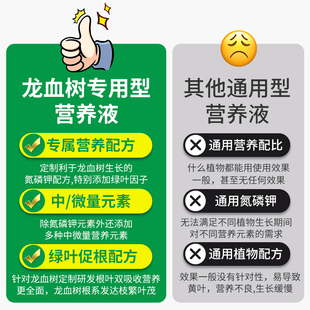 龙血树龙须树专用肥料营养液盆栽植物室内绿植养花肥通用氮磷钾肥