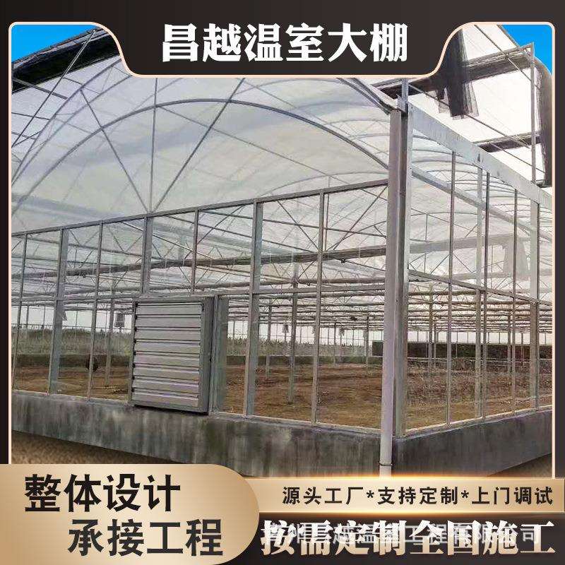 智能一体化工程连体薄膜温室双拱双模圆拱形拱棚菊花育苗基地
