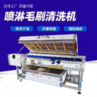 销售平行毛辊红薯清洗机根茎类果蔬清洗机商用大姜生姜清洗设备