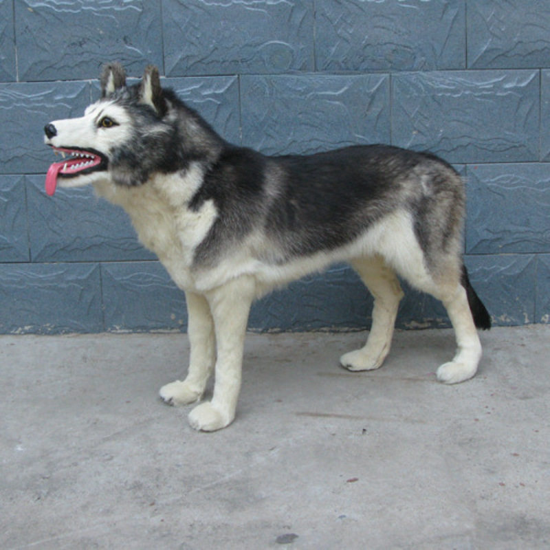 仿真哈士奇模型门厅摆件仿真动物名犬影视道具大号哈士奇