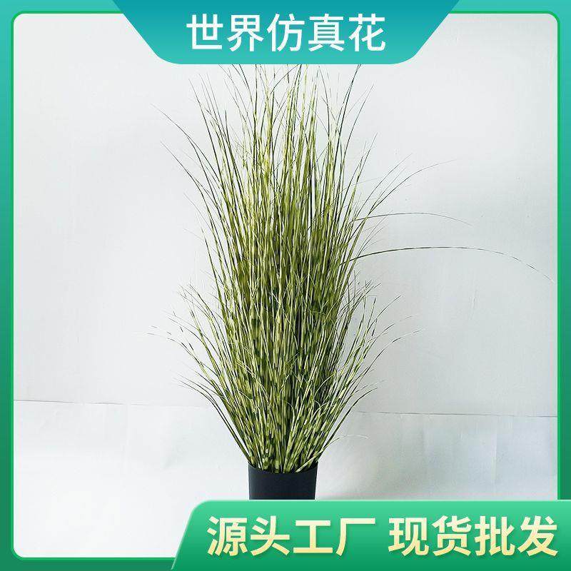 现货室内斑纹草仿真盆景简约绿色花艺高端造景装饰盆栽假花,畜牧/养殖物资,畜牧/养殖器械,淘宝优惠券,粉丝福利购,淘宝优惠卷