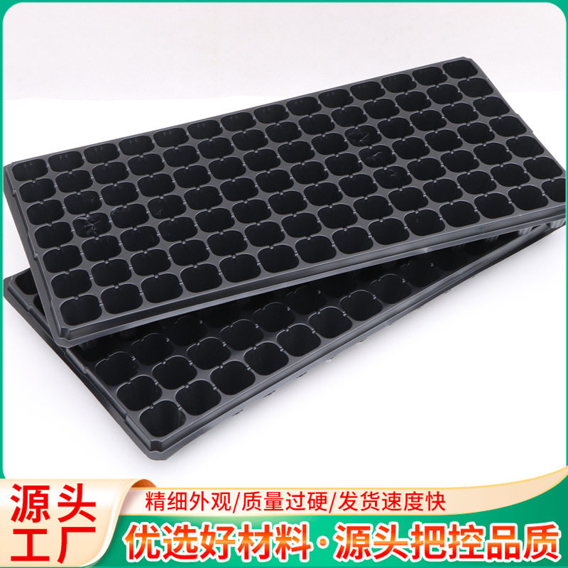蔬菜瓜果辣椒幼芽苗育苗园艺穴盘花草培育多肉西红柿育苗穴盘