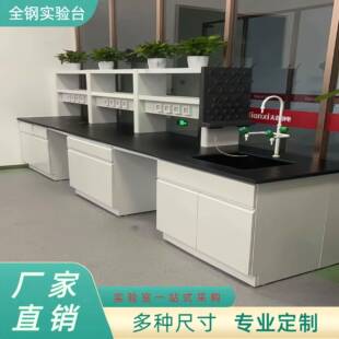 全钢实验台实验室边台试验台工作台操作台钢木实验台化学桌通风柜