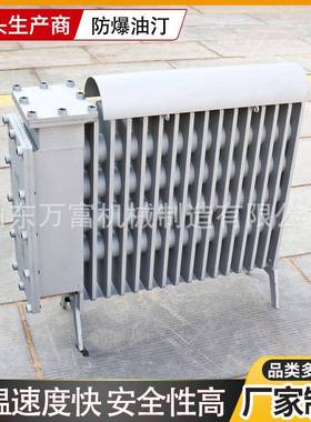 煤矿用防爆电热取暖器井下电暖器矿用增安RB2000/127(A)防爆油汀