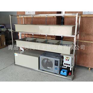 三文鱼鲑鱼鳟鱼卵孵化器 循环水鱼苗孵化系统设备 鱼苗孵化器