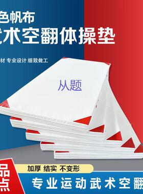 azS跆拳道空翻垫子武术垫体育练功垫散打仰卧起坐垫子加厚白帆布