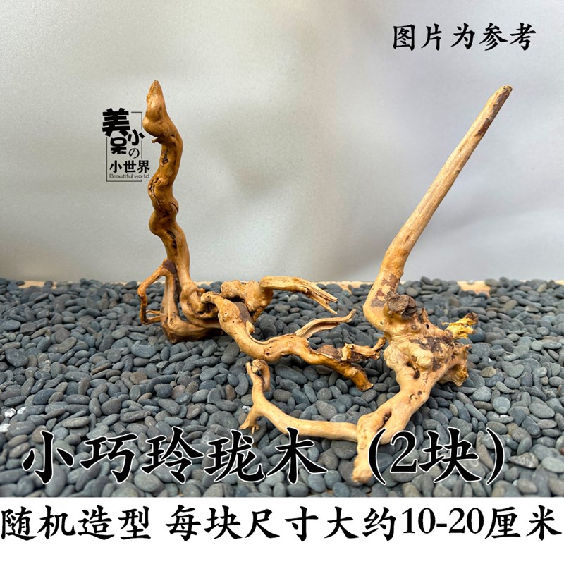 杜鹃根 栖根 沉木  草缸造景莫斯树宠鱼缸网红鸡晒台装饰树根树枝