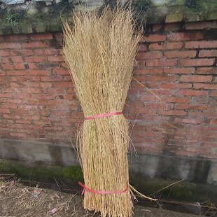 铁扫把苗竹扫把苗大扫把笤帚毛子苗子环卫清洁扫院子竹枝金丝草