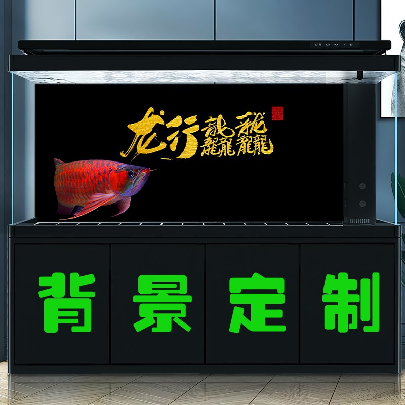 鱼缸背景贴纸高清图3D立体背景画龙鱼水族箱造景龙行龘龘
