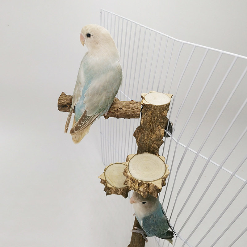 鹦鹉鸟玩具宠物用品花椒木站台站杆磨爪棒宠物鸟用具跳板站棒玩具,宠物/宠物食品及用品,鸟玩具,淘宝优惠券,粉丝福利购,淘宝优惠卷
