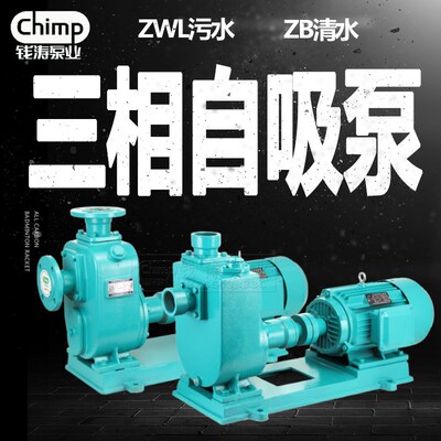 钱涛牌ZB自吸加强离心泵工业自吸泵加压泵ZW自吸排污泵380V三相