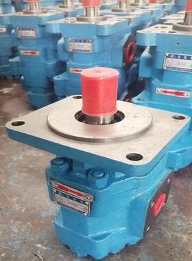 长江双联齿轮泵CBG2160/2160-B2L电厂液压泵高压油泵CBG3160/3140