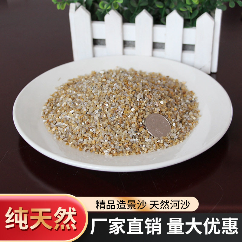 天然河砂沙子污水处理盆栽造景鱼缸装饰自来水厂过滤滤料滤砂
