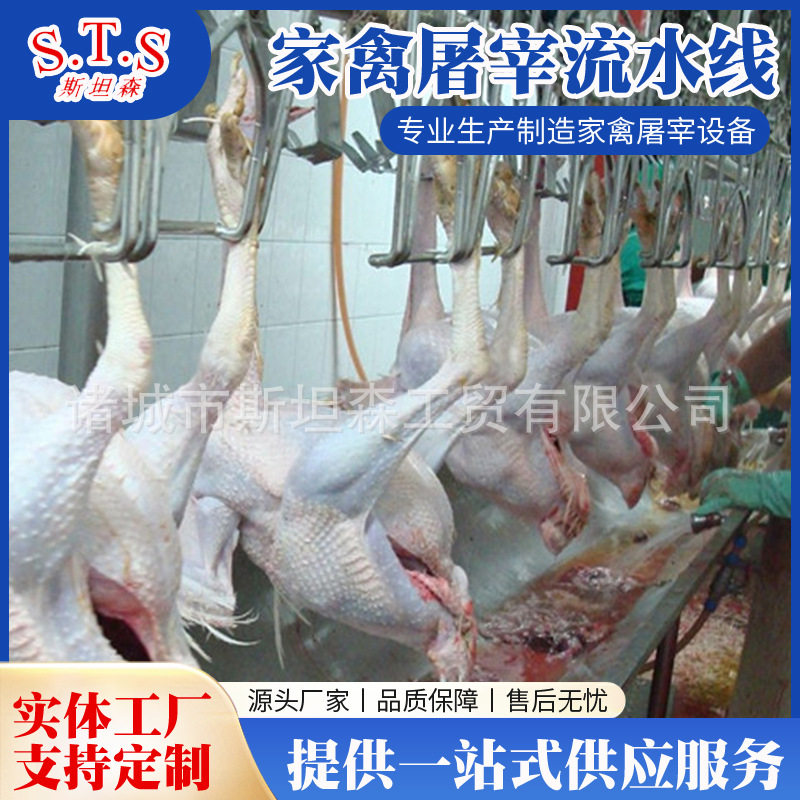 鹅屠宰流水线设备中小型鸭鹅通用家禽屠宰线家禽屠宰脱毛机设备