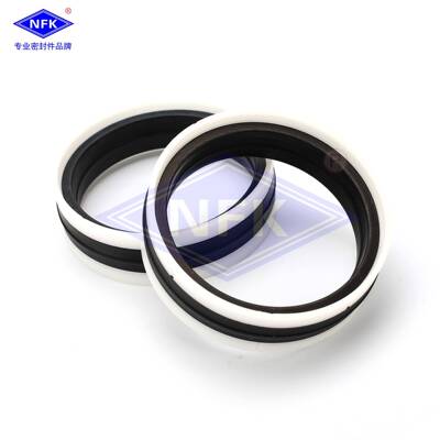 意大利TECNOLAN液路坚TDE组合密封120*100*25.4/6.35活塞密封件