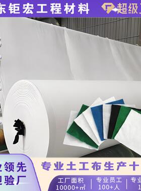 反滤土工布道路养护透水隔离防渗土工布10kn短丝土工布长丝土工布