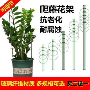 盆栽金钱树昙花专用花架爬藤支架固定花卉植物的花盆支伸缩杆架防