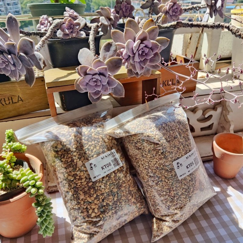 多肉植物土壤-全颗粒优质混合土-小粒-KT08-种植-老桩成株十二卷
