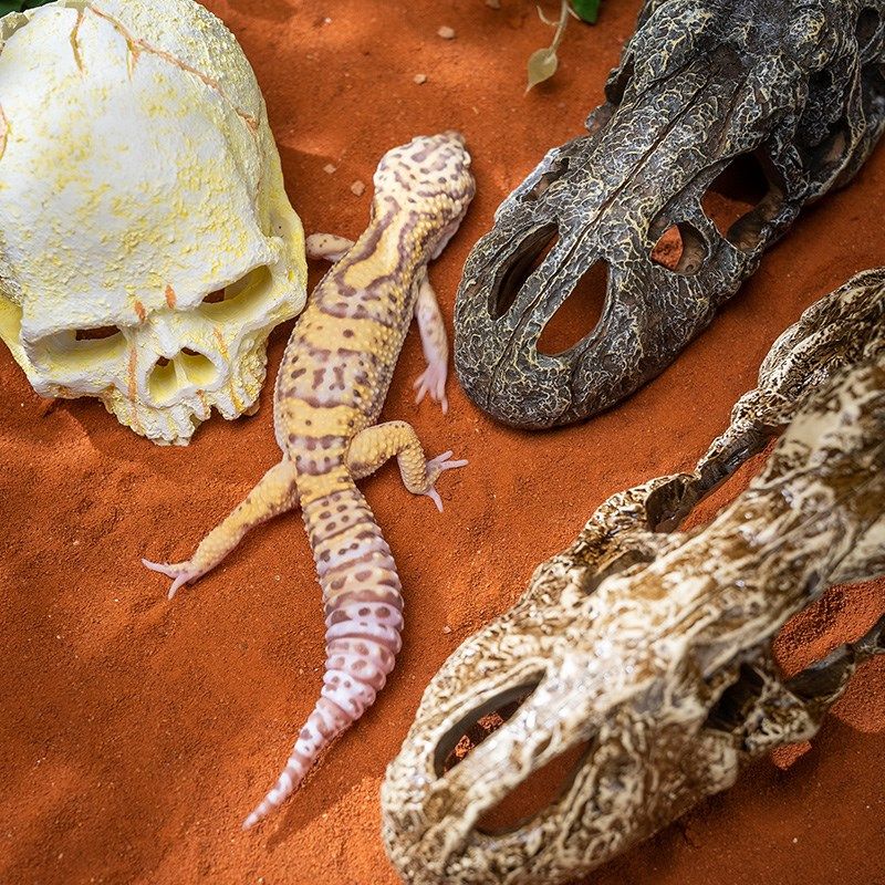 爬宠角蛙蜥蜴躲避屋守宫乌龟仿天然岩石洞穴爬虫箱造景宠物蛇装饰,宠物/宠物食品及用品,爬宠缸/箱,淘宝优惠券,粉丝福利购,淘宝优惠卷