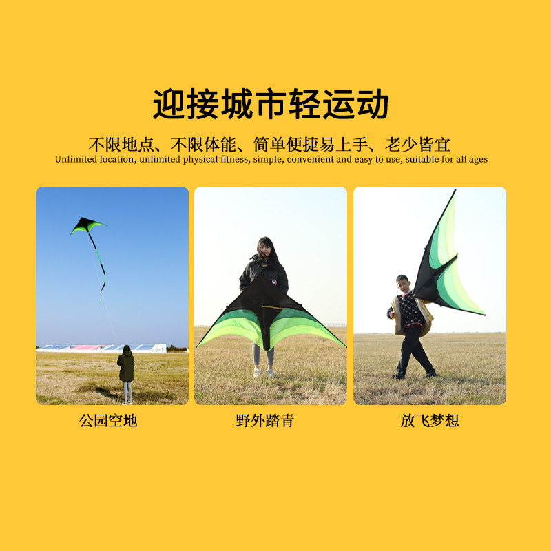 潍坊2022新款草原风筝大型超大成人高档网红大人专用儿童长尾好飞,特色手工艺,风筝,淘宝优惠券,粉丝福利购,淘宝优惠卷