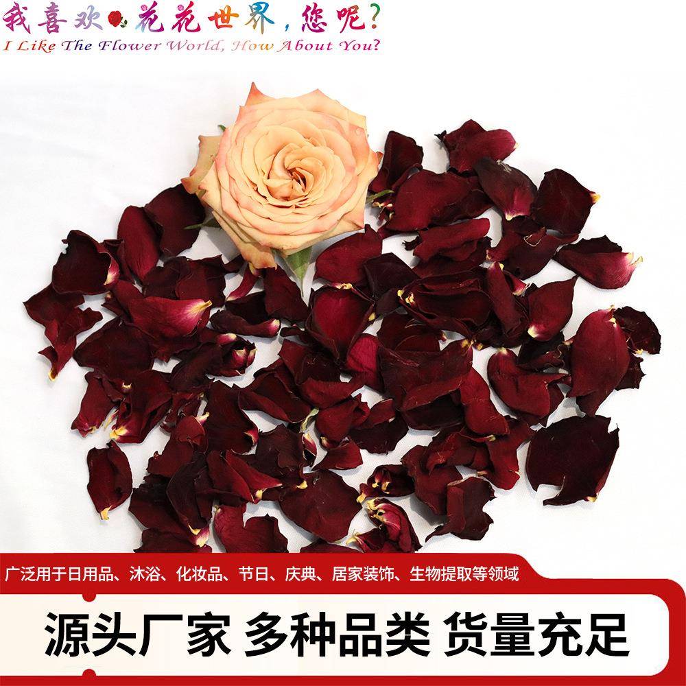 云南玫瑰干花瓣家厂南玫瑰花瓣泡浴干花瓣厂家足疗2干云花瓣
