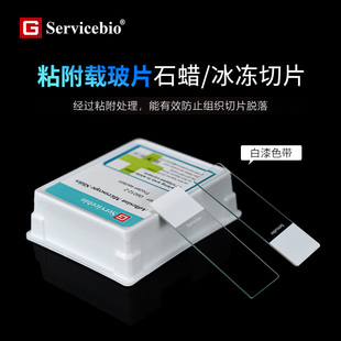 粘附载玻片 防止切片脱落G6012 石蜡 白漆色带 冰冻切片 赛维尔