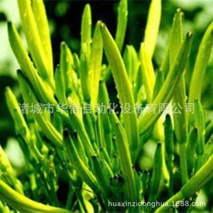 小黄花菜HX-RB6干烘机设备空能热泵黄花菜烘气干箱型菜薹烘干房