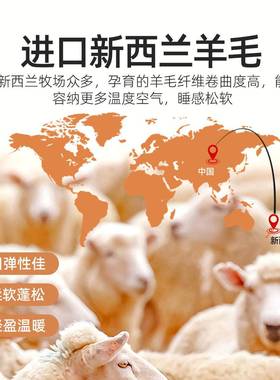 新西兰棉o81178进口羊1毛被00纯子羊毛羊绒被冬被芯加厚保暖被褥
