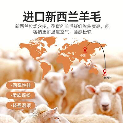新西兰棉o81178进口羊1毛被00纯子羊毛羊绒被冬被芯加厚保暖被褥