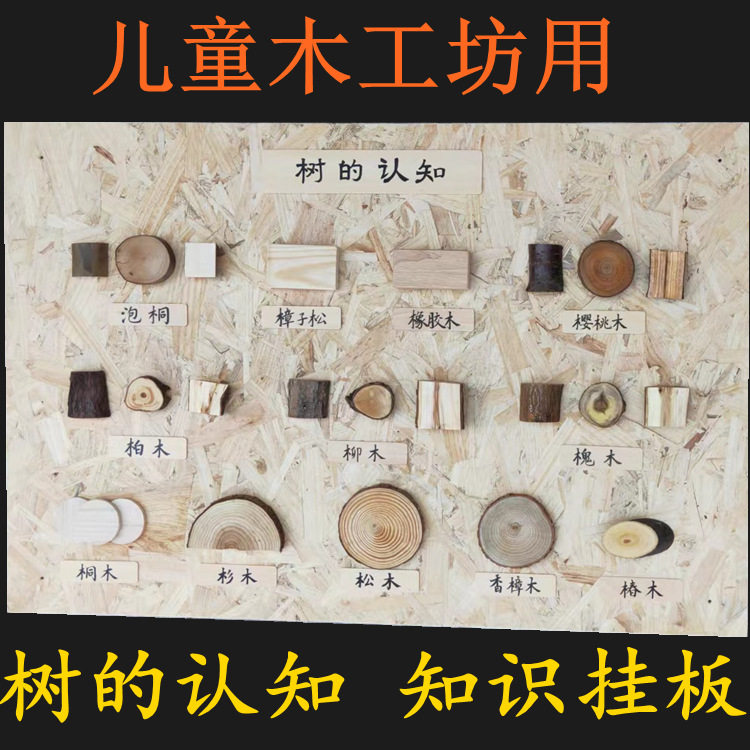 创客木工匠坊装饰树的认知120*80不同大小的年轮片厚4可挂于墙上