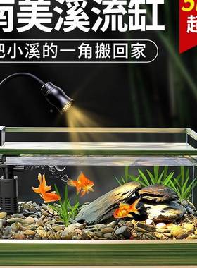 南美溪流造景缸025F97687H9款厅中大型玻璃鱼缸桌面鱼龟混新养缸