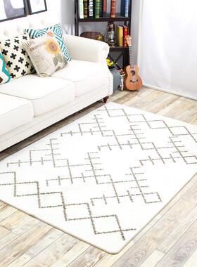 捷成地毯北民风卧室欧客厅地毯方家用现代简J12.TR-P约长形机族洗