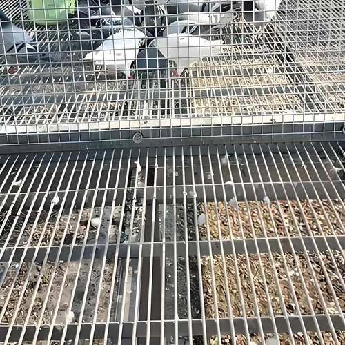 钢格栅不锈钢钢格板殖鸽舍网WSE养镀锌漏粪网格网片通养风地殖钢