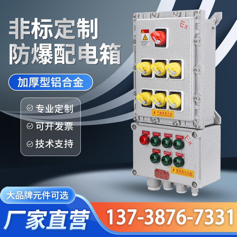 防爆配电箱不锈钢防爆接线箱成套定做铸铝照明开关检修电源防爆箱