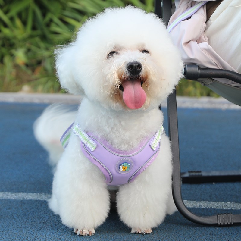 夏季狗狗牵引绳小型犬比熊背心式溜遛狗绳泰迪博美宠物胸背带透气