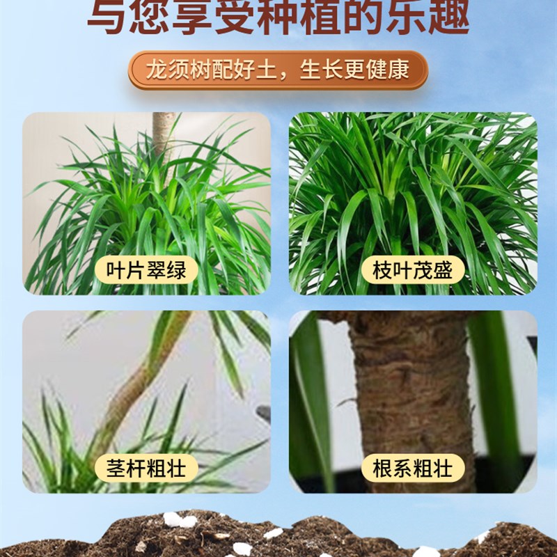 龙须树专用土绿植盆栽花卉通用营养土龙血树专用有机肥料种植泥土
