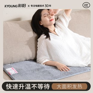 彩阳沙发专用电热毯美容床小尺寸客厅保暖加热坐垫办公室沙发垫子