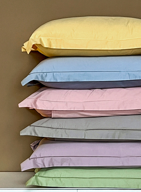 100支全棉枕套48x74cm一对2只装 高支A类长绒棉枕芯套30x50整套