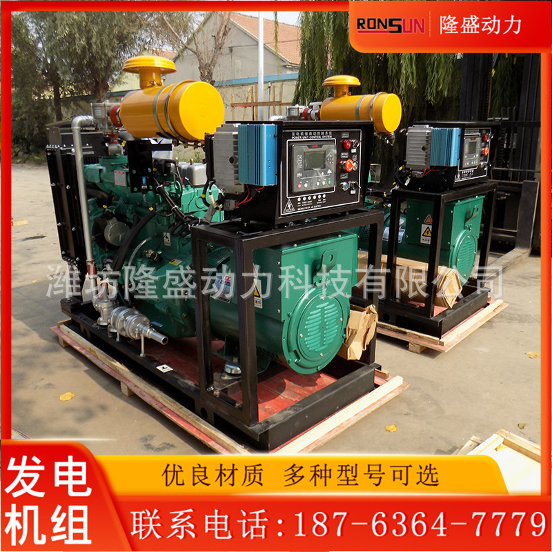潍柴30kW沼气应急发电机组