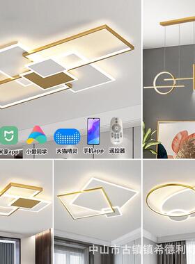 202AAX5新顶款工厂简约客厅灯气家用卧灯室餐厅大吸灯全屋灯具套
