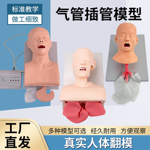 人体气管插管训练模型成人新生儿婴儿童气管插管口鼻腔气道急救