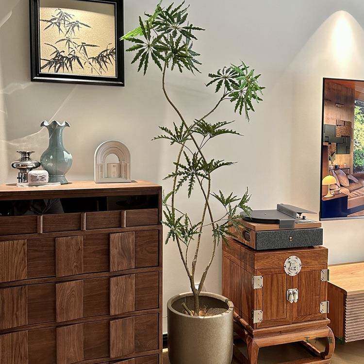 孔雀木招财仿真厅绿植树电视柜客装F9897MJ7摆件饰假大型落地盆栽