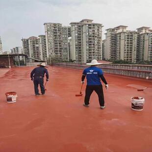 耐博仕牌多功能高弹防水涂680好屋面裂缝料补漏专粘力强用施工