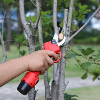电动枝修枝修剪树粗枝剪电动果树剪刀果园剪锂园林园剪艺/电池剪
