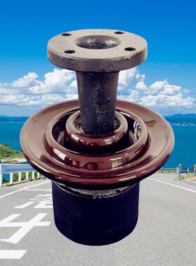 ZPD10伞形蘑菇形式户D外支柱绝缘子针ZPD-10瓷瓶绝缘子Z-P-35