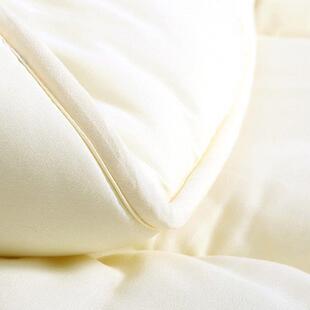 被被IXJ芯四季通用桑丝00加厚保暖冬被芯秋被子春1被双人夏被夏凉