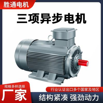 厂家货源YE3械GOP-315S-8级55KW三相山异步立式电动机矿机电机马