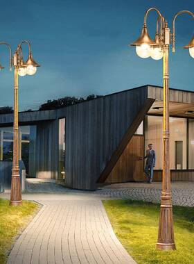 户外灯小区花园水别家复用220V超亮防庭院字高杆3米85863欧墅式古