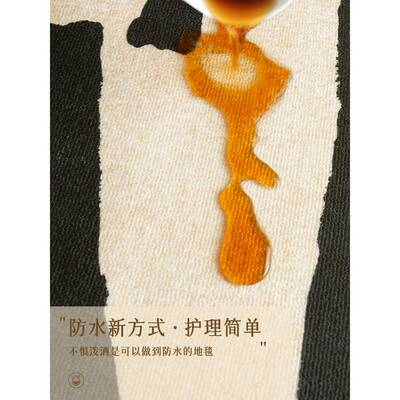 免地毯客厅2025新款法GAI-QUAN式奶油风卧室床边洗擦圈地垫大面可