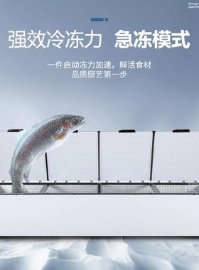 超专商用大型冰卧柜31470大容量冷柜卧式冷冻藏冻肉冷柜单门双门